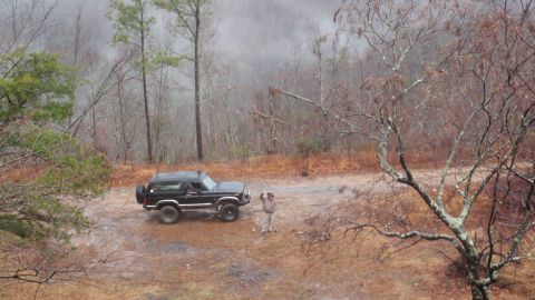 1986 Ford Bronco - A black Ford Bronco is parked on a dirt road in a wooded area with light snow falling.
