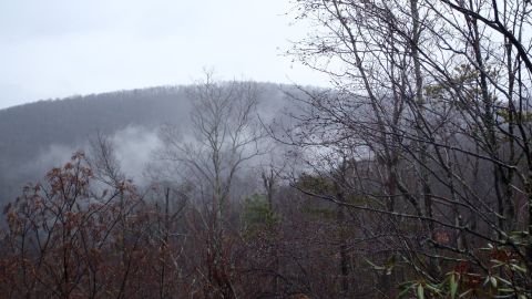 1986 Ford Bronco - A misty mountain range is visible through bare trees on an overcast day. The Supermotors logo is in the lower right corner.