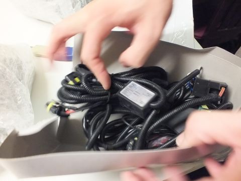 2003 Ford Crown Victoria - coiled black wiring harness with multiple connectors handled in a gray bin.