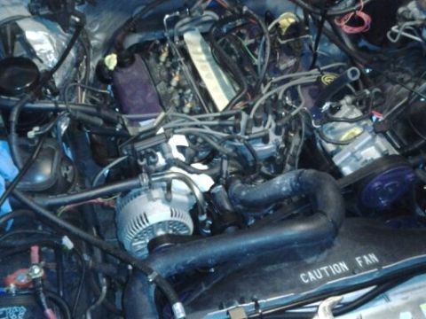 1996 Ford Bronco - The engine bay is cluttered with hoses and wiring, obscuring specific vehicle details.