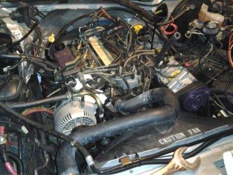 1996 Ford Bronco - Engine bay components including alternator, hoses, and wiring are visible in this photo.