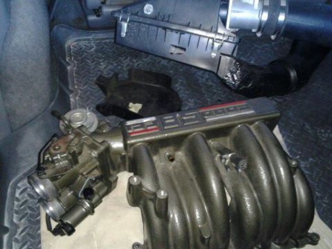 1996 Ford Bronco - Close-up of a Ford V8 engine intake manifold, likely a 351 Windsor, on a floor mat.