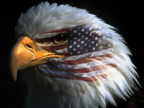1996 Ford Bronco - An eagle's head is overlaid with the American flag, set against a dark background with a website URL at the bottom.