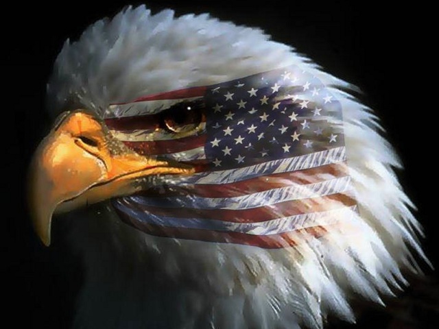Eagle head with American flag superimposed on its face, dark background. Text 'SUPERMOTORS' visible