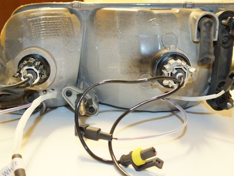 2003 Ford Crown Victoria - Backside of a projector headlamp showing bulb sockets and waterproof HID connectors.