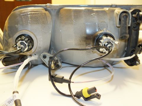 2003 Ford Crown Victoria - Headlamp backside with twin bulb retainers, Ford oval and HID connector leads laid out.