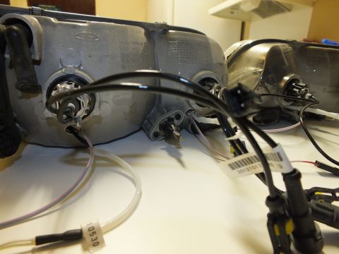 2003 Ford Crown Victoria - Pair of headlamp backsides showing Ford ovals, bulb sockets and a barcoded HID harness.