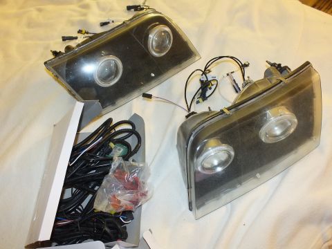 2003 Ford Crown Victoria - Two smoked-lens projector headlight units with halo rings sit above a tray of black wiring and connectors.
