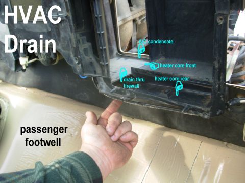 1983 Ford Bronco - The drain for the HVAC system serves both the inside (heater core) box, and any spillover from the outside (evaporator) box. The vertical p…