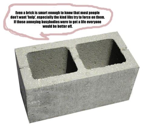 1971 Ford Ranchero - A concrete block is shown with a speech bubble containing a political statement.