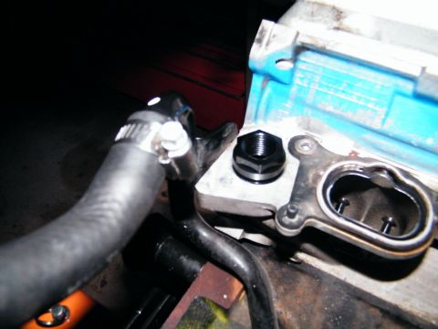 2004 Ford Crown Victoria - Close-up view of an engine component a black hex plug and a hose with a clamp.