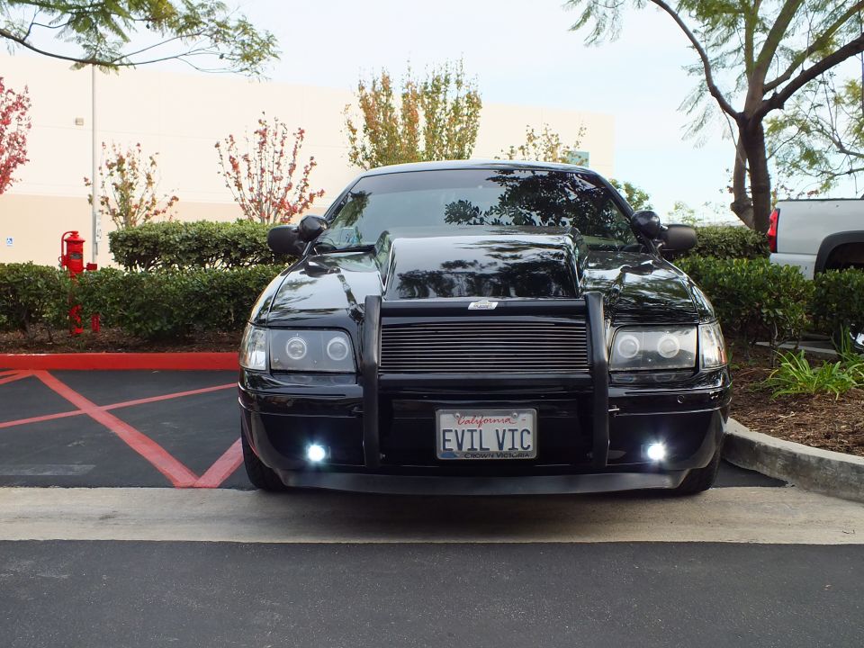 Black Crown Victoria front with push bumper and EVIL VIC California plate, lit fog lights