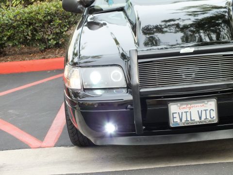 2003 Ford Crown Victoria - Low close-up of Crown Victoria left front, halo lamp, push bar and white foglight over red-striped curb.
