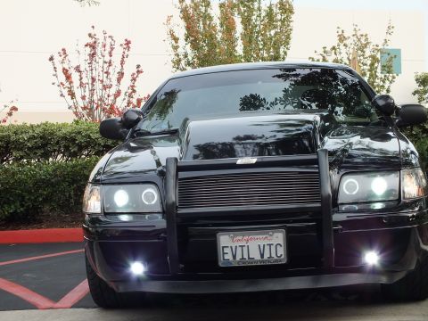 2003 Ford Crown Victoria - Crown Victoria nose with grille guard and billet insert, multiple white foglights glowing, shrubs behind.