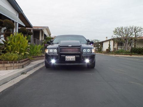 2003 Ford Crown Victoria - Black Crown Victoria viewed head-on with fog lights and brush guard on a residential street, EVIL VIC plate.
