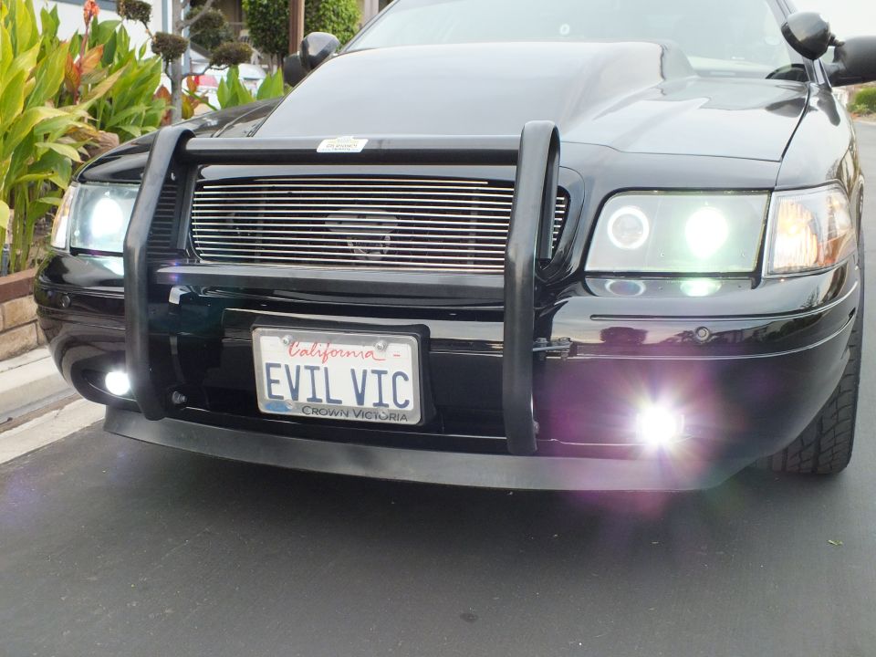 Black Crown Victoria front with billet grille, EVIL VIC plate and lit fog lamps