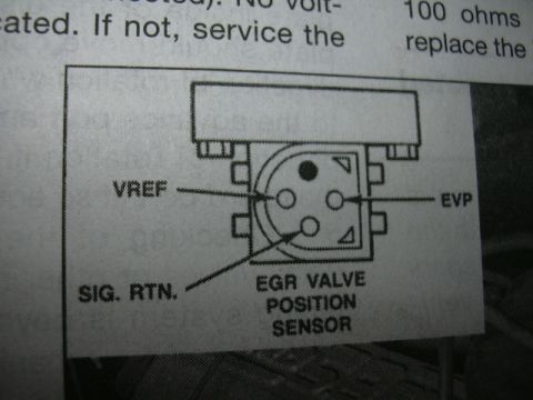 1991 Ford Bronco - Scanned service manual page diagramming the EGR valve position sensor connector terminals with diagnostic text.