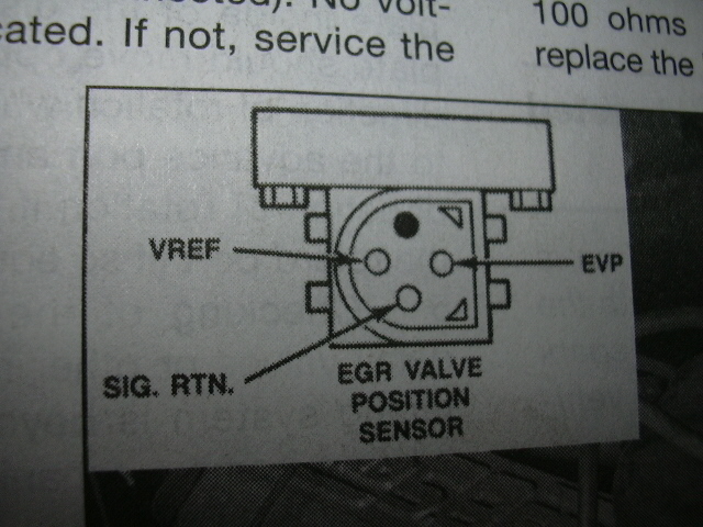 Scanned manual page showing EGR valve position sensor connector pinout with VREF, EVP, SIG RTN