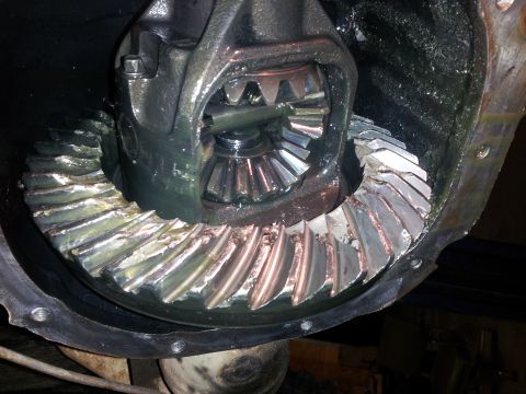 1986 Ford Bronco - Close-up view of damaged differential gears, showing significant wear and chipped teeth.