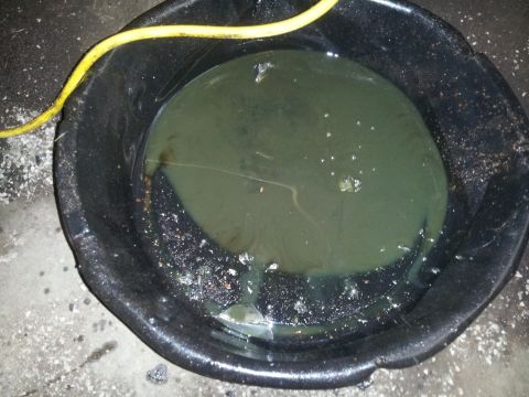 1986 Ford Bronco - A black oil drain pan contains dark, used oil with debris, and a yellow hose is visible overhead.