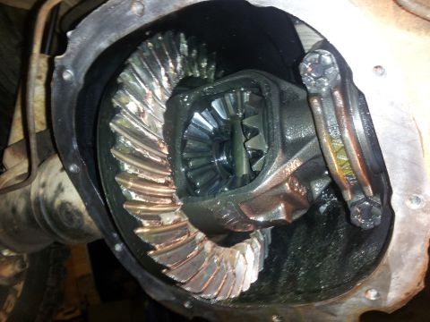 1986 Ford Bronco - Differential gears showing signs of wear and tear.