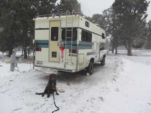 1997 Dodge 3500 - A chocolate lab sits patiently next to a truck camper during a snowfall.
