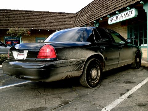 2004 Ford Crown Victoria photo