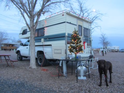 1997 Dodge 3500 - A dog stands next to a camper truck decorated with Christmas lights and a tree at dusk.