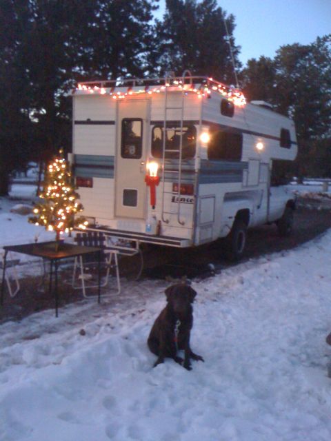 1997 Dodge 3500 - A camper truck is decorated for Christmas with lights and a tree, while a dog sits in the snow.