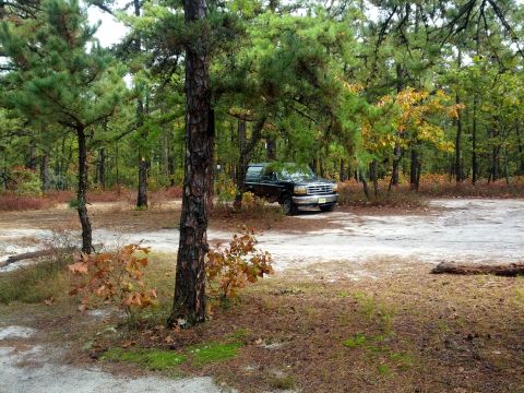 1995 Ford Bronco - A black 1995 Ford Bronco is parked off-road in a wooded area with pine trees.