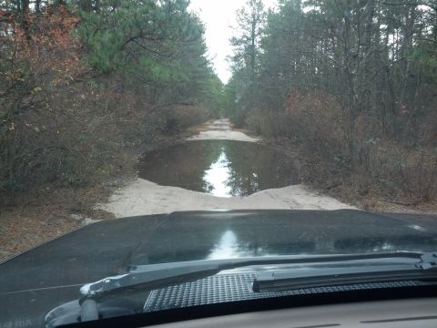 1995 Ford Bronco - Driving through a wooded area, the vehicle approaches a large puddle on a sandy dirt road.