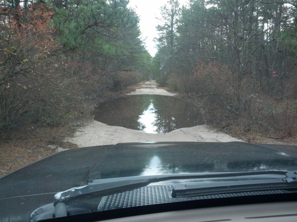 View from inside a vehicle driving through a forest, approaching a large puddle on a dirt road