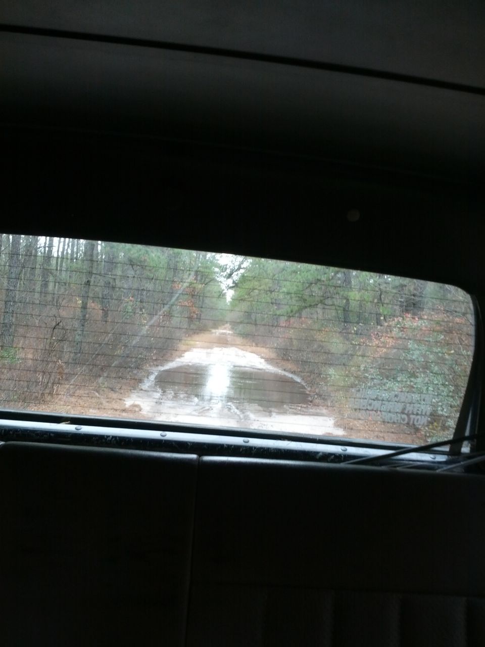 Reflection in interior rearview mirror shows a road and trees