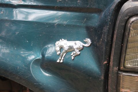 1995 Ford Bronco - Close-up of a 1995 Ford Bronco's fender emblem, showing the iconic horse graphic.