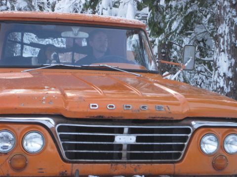 1989 Ford Bronco - Front view of an orange Dodge pickup truck with a dog and driver inside the cab.