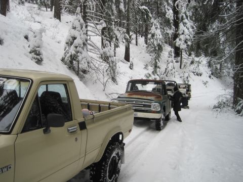 1989 Ford Bronco - A line of trucks navigates a snowy path through a forest, with trees heavily laden with snow.