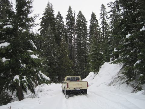 1989 Ford Bronco - Toyota pickup truck navigates a snow-covered forest road, likely during winter.