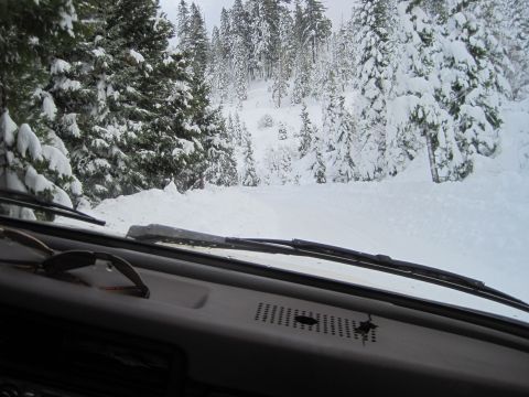 1989 Ford Bronco - View from inside a vehicle on a snowy road surrounded by snow-covered pine trees.