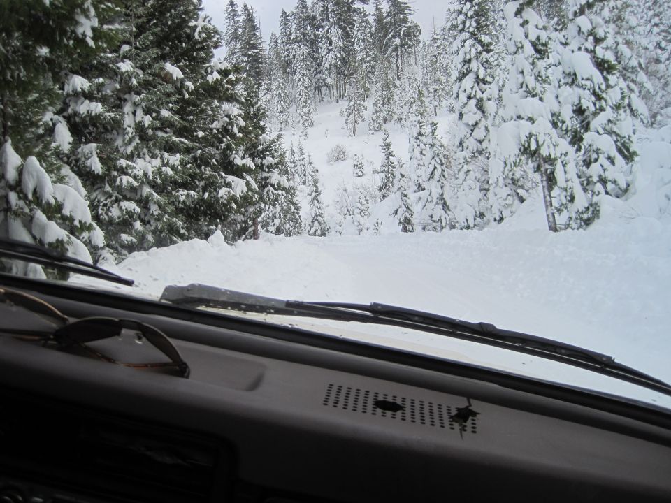 Dashboard and windshield view from inside a vehicle driving on a snow-covered road with pine trees