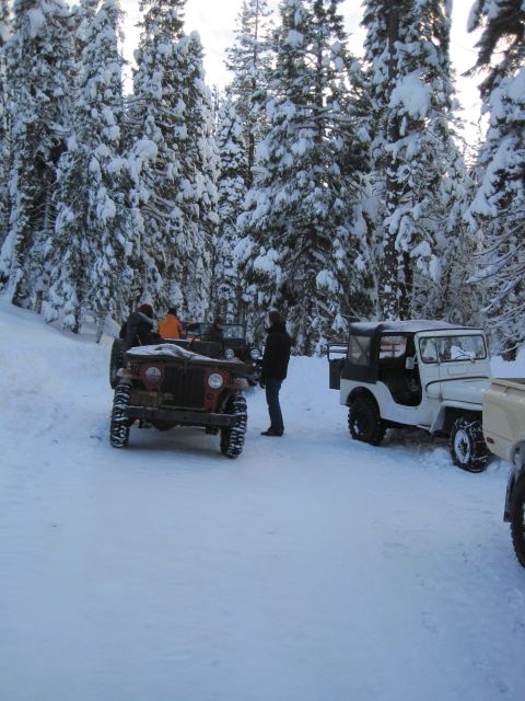 1989 Ford Bronco - Multiple Jeeps are parked in a snowy forest clearing during a winter outing.