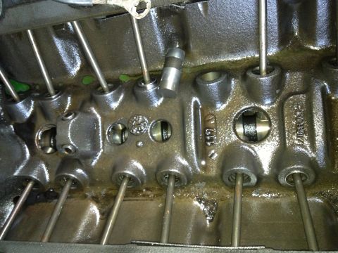 1989 Ford Bronco - This image shows the internal components of an engine block, including lifters and pushrods, with some visible fluid.