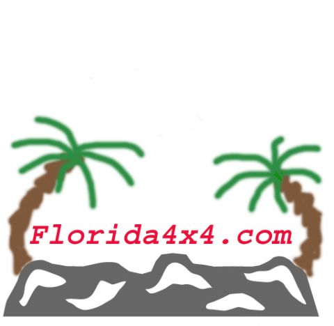 1991 Ford Bronco - Logo for Florida4x4.com, palm trees and rocks.