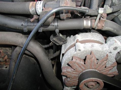 1990 Ford F-250 - Close-up view of engine components, including an alternator and various hoses.