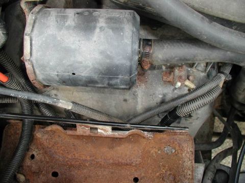1990 Ford F-250 - Close-up view of engine components, including an alternator housing and various hoses and wiring.