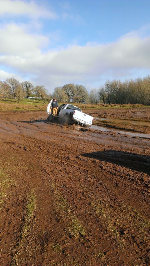 1995 Ford Bronco - A white pickup truck is stuck deep in mud on a farm, with a person standing in the open driver's side door.