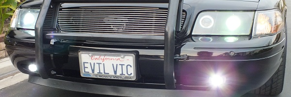 Cropped black Crown Victoria front with lit fog lamps grille guard and EVIL VIC plate