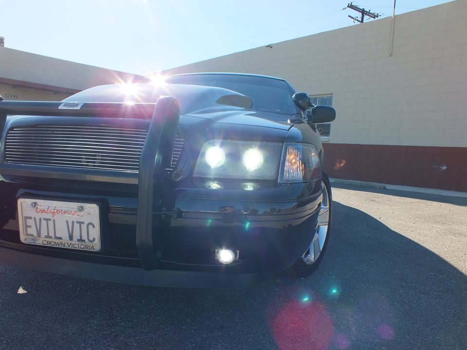 Low front close-up of black Crown Victoria with lit projector headlights and EVIL VIC plate