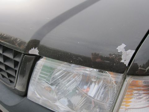 1991 Ford Crown Victoria LTD - Close-up of a dark SUV's hood and headlight, showing peeling paint and a clear lens.