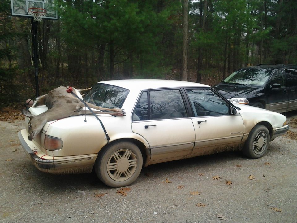 White sedan with a deer tied to its trunk, parked next to a black SUV