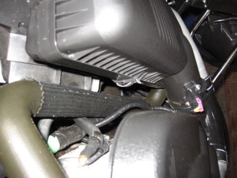 1995 Ford Bronco - Detail shot of various hoses and electrical connections within the engine compartment.